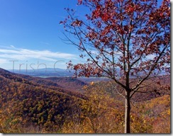 10403315_10205661396718166_1806237121581915177_n