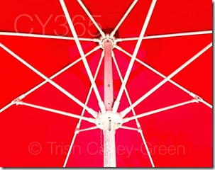 10422923_10205457270175130_3914863510862244257_n