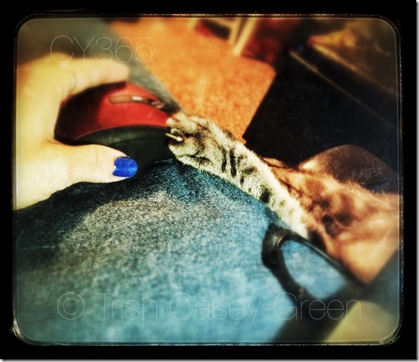 1377144_10205855011438413_5853386695997591020_n