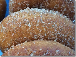 1459917_10205657670385010_2421142177202080097_n