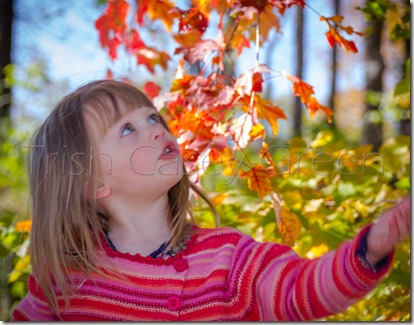 1797600_10205708771302501_1401376769576407290_n