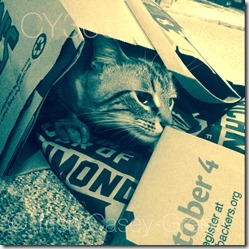 1966917_10205576728281508_2046038021497746987_n