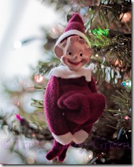 20101214-2010 December-60