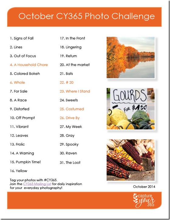 October-CY365-Photo-Challenge-List-2014