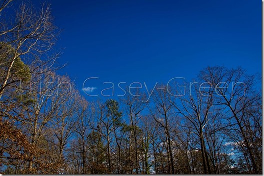 10386746_10206367957381741_2491795535838755247_n