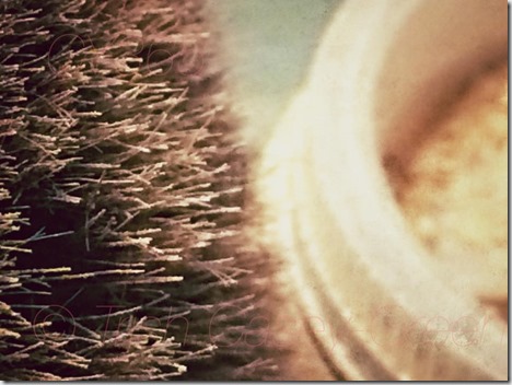 10410777_10206351934501179_2777226473061217508_n