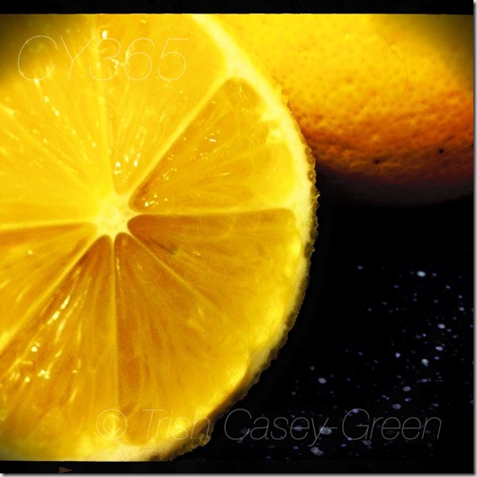 10420291_10206383871419582_724429530496591168_n