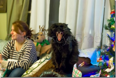 10881612_10206051346906677_8403595336738535126_n