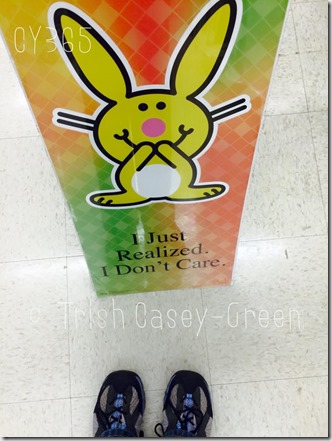 10891919_10206251396027780_2384117154013179324_n