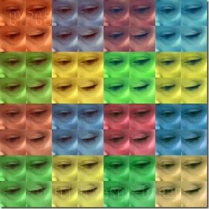 10906288_10206287887220037_2657385157945527057_n