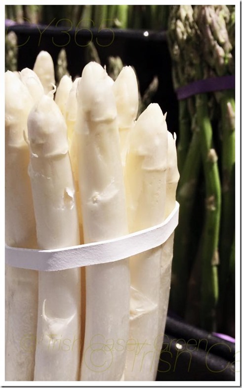 10931011_10206315221863386_1153466665847182332_n