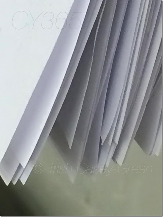 10934014_10206306734611210_247113773561162329_n