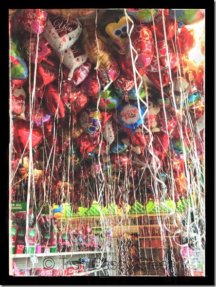 10277947_10206527950701474_6154525901604968205_n