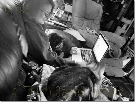 10292534_10206515719115692_1442086300400246087_n