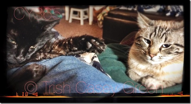 10420379_10206429425958417_8980256067919518126_n