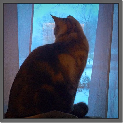 10485885_10206572310610444_3593289944720822879_n