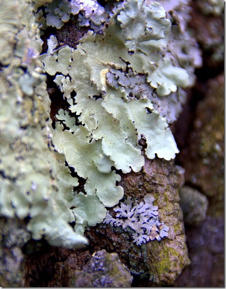 10926288_10206509516320626_6053571109324531170_o