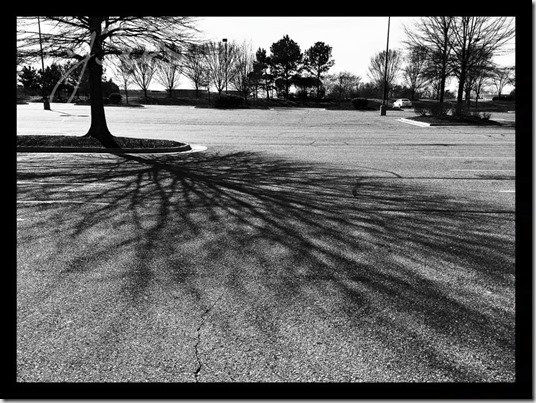 10958059_10206481851349019_7219019134414885964_n