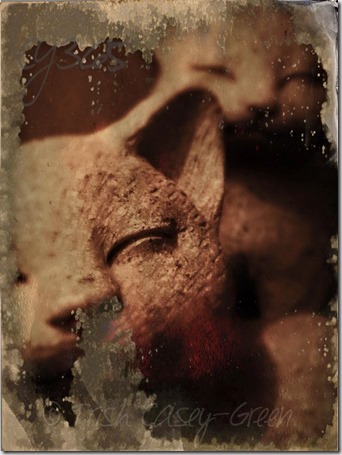 10986719_10206493129590968_4586140198569028090_n