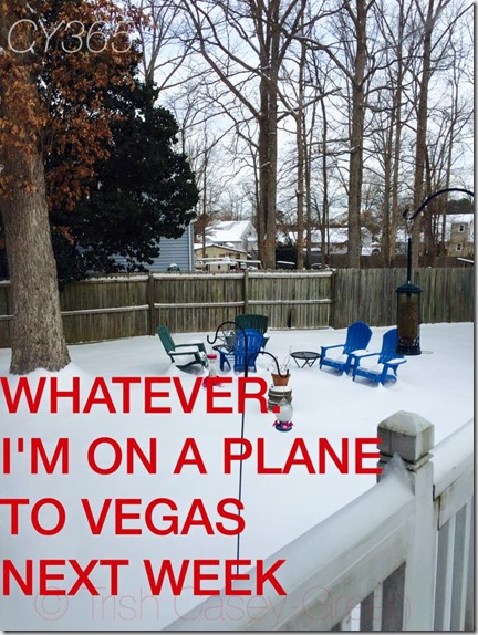 10987333_10206562331160964_4096528375221431438_n