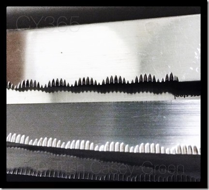 10390289_10206744594917444_297187807591868260_n