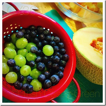 11031951_10206714294159944_1051643603_o