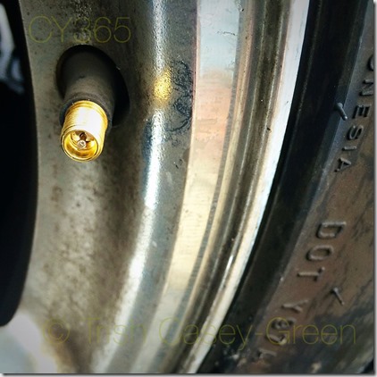 11064498_10206720875004461_148272150_o