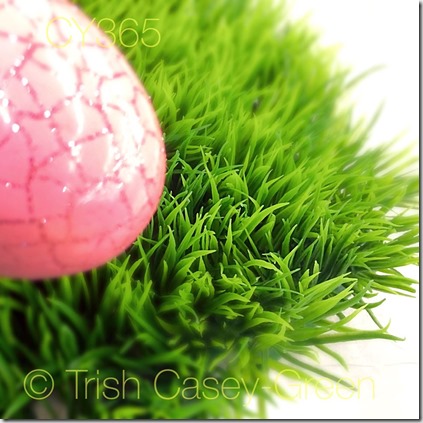 11068137_10206729695504968_1696722658_o