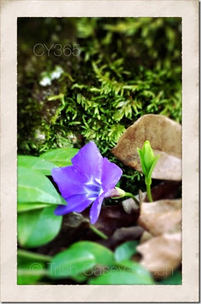 1010150_10206815901260058_9131513084719917916_n