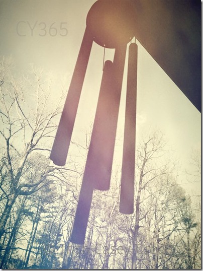 10931073_10206861341796043_4324289254393930489_n