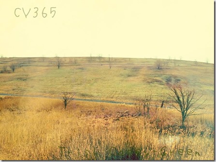 11116181_10207015608012602_1619143695_n