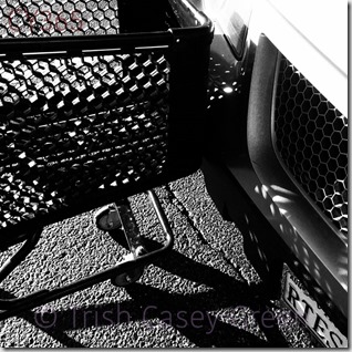 11130593_10206890348441191_305427662_o