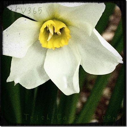 11141437_10207015607612592_593061767_o