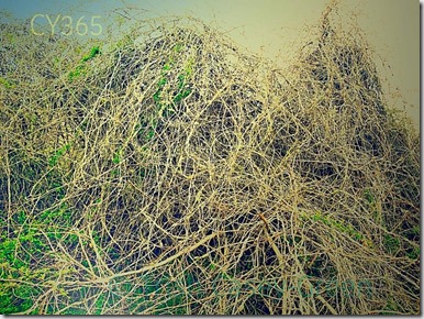 1655957_10206965811087710_7704231007878776565_n