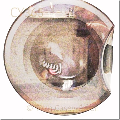 19202_10206853471279285_5677544183203296538_n