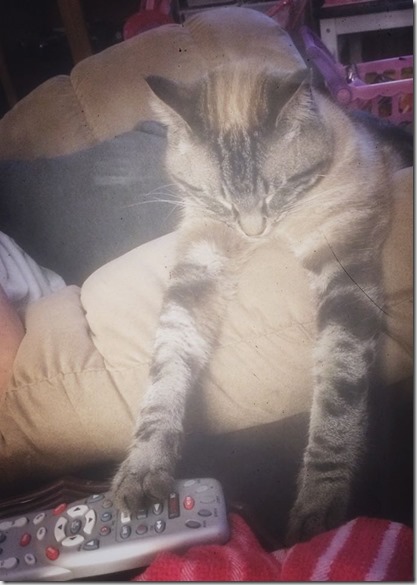 11823886_10207900102884421_1877301554_n