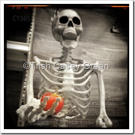 11802113_10208170893294012_1102598852_n