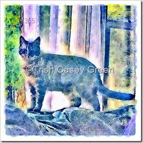 11903889_10208027538310227_9121266747279718898_n