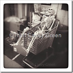 11960103_10208081025687378_2511232058278365839_n