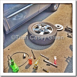 11997948_10208171525869826_1280148380_n