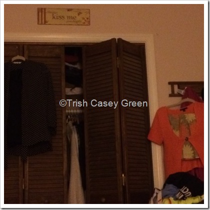 12042113_10208250228637346_40537820_n