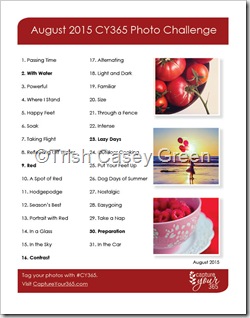 august-2015-cy365-photo-challenge-list1-1