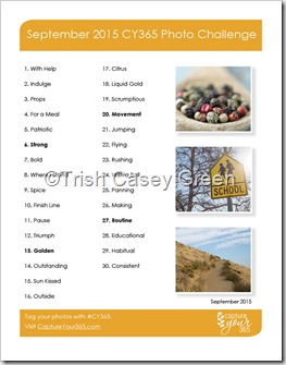 September-2015-CY365-Photo-Challenge-List