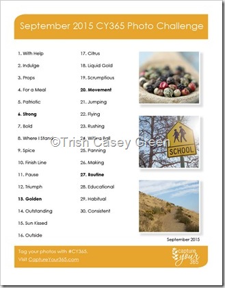 September-2015-CY365-Photo-Challenge-List