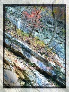 12200937_10208527489608697_1837905376_n