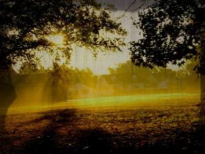 12202508_10208515924759583_241263747_n (1)