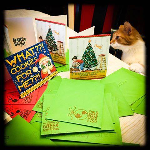 15355709_10211952333267648_120616648472872628_n