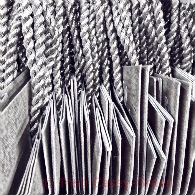 15380542_10212025144087873_9011815720208186929_n