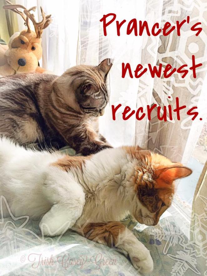 15380833_10212056045220382_2729532055958509066_n