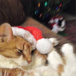 15401006_10212025143767865_1333762034097599378_n